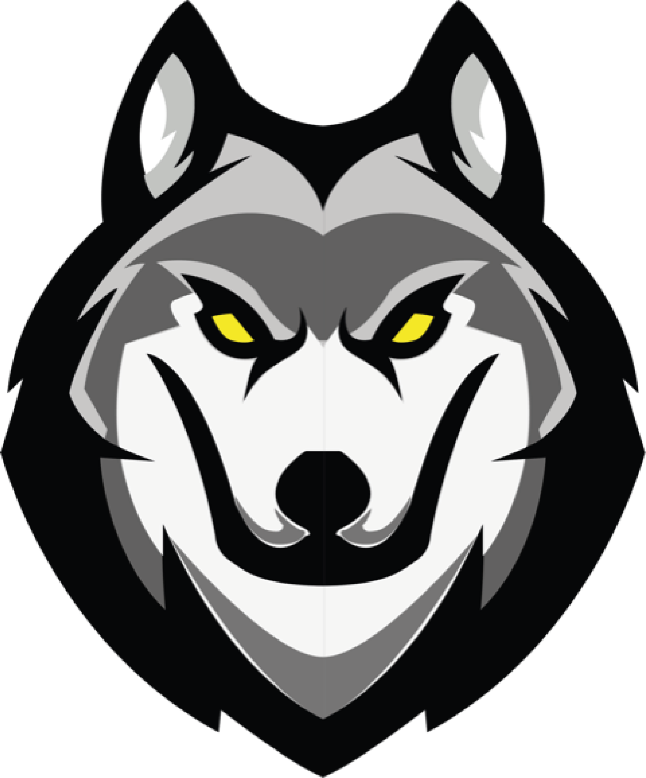 Logo Loup Academy Esery